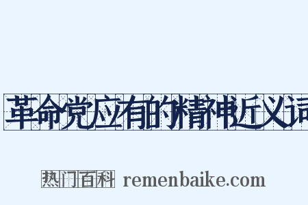 革命党应有的精神近义词是什么意思的图片